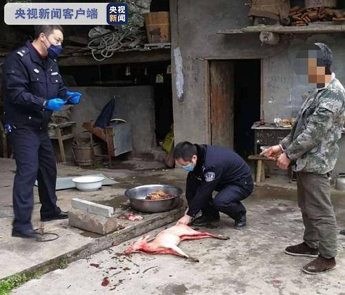 重庆警方严打破坏野生动物资源违法犯罪 收缴非法猎捕野生动物2400余只