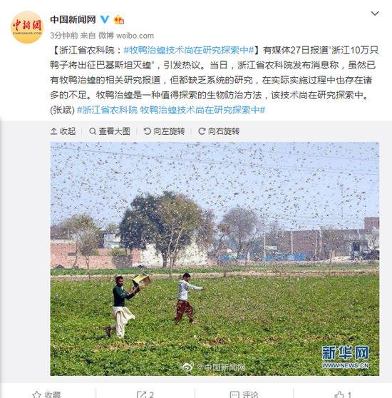浙江省农科院：牧鸭治蝗技术尚在研究探索中
