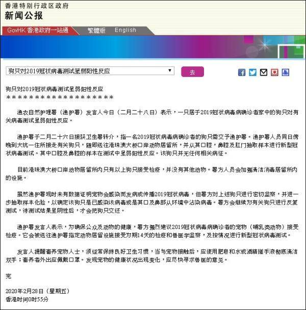 ▲香港特区政府新闻公报截图。