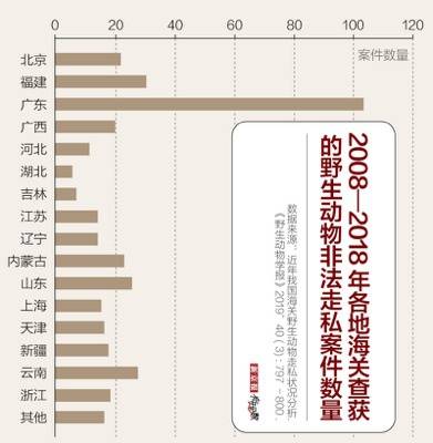 平均每九天就有人走私野生动物，哪地海关查获最多？