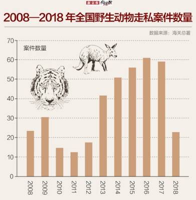 平均每九天就有人走私野生动物，哪地海关查获最多？