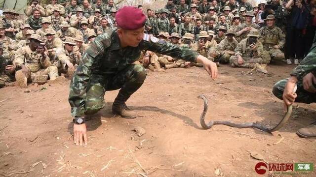 美泰军演美军士兵体验各种野味 还要生饮蛇血