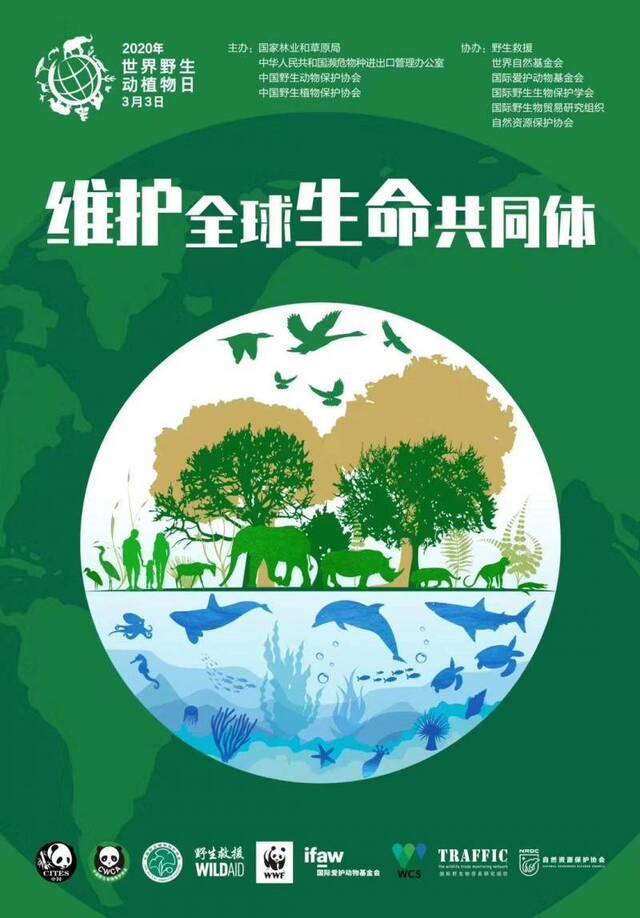 3月3日第七个“世界野生动植物日”宣传图。图/国家林草局