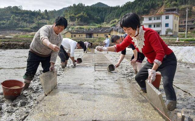 福建永春：不误农时备好春耕 保障夏粮丰收