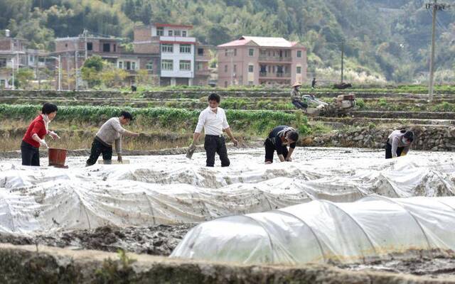 福建永春：不误农时备好春耕 保障夏粮丰收