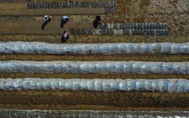 福建永春：不误农时备好春耕 保障夏粮丰收