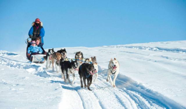 到此一游｜两千公里的长途跋涉，与雪橇犬并肩同行