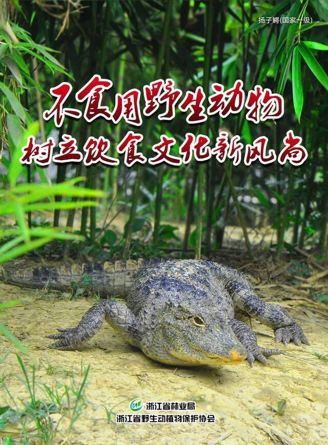 3月3日世界野生动植物日公众倡议