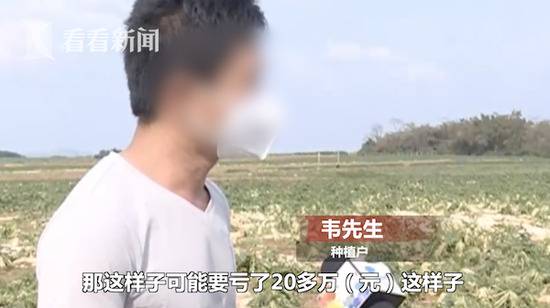 免费?他们听信谣言扎堆拔萝卜 种植户损失20万元