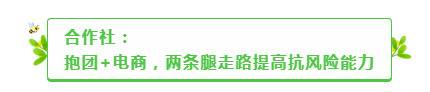 追花期的蜂农们今年怎么追？散户转场被困，规模化可期？