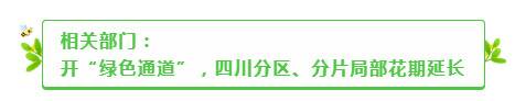 追花期的蜂农们今年怎么追？散户转场被困，规模化可期？