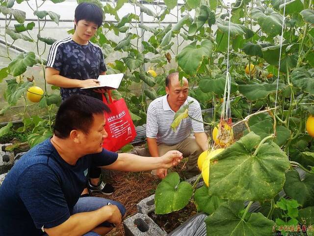 河池市：“十大百万”产业监督抓亮点，“三项监督”统筹全局创特色