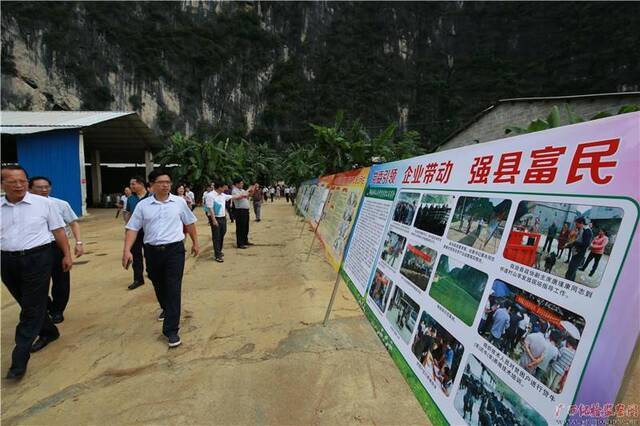 河池市：“十大百万”产业监督抓亮点，“三项监督”统筹全局创特色