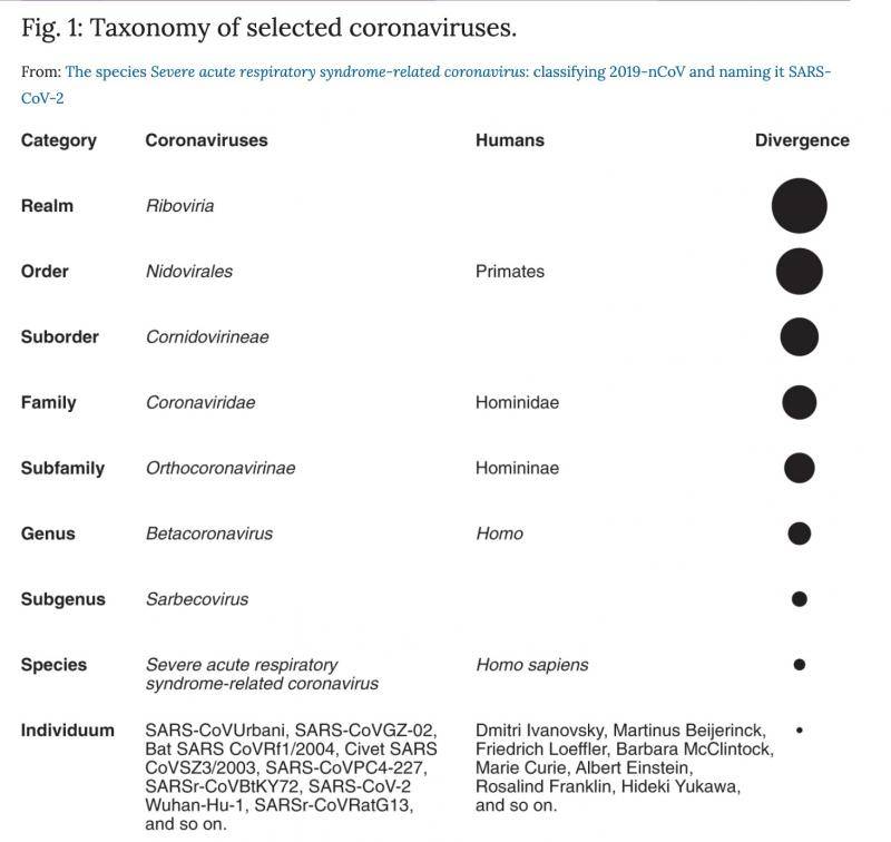 SARS相关冠状病毒分类法（与人的物种学分类法对比）。