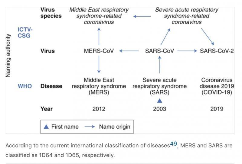 国际病毒分类学委员会（ICTV）冠状病毒研究小组（CSG）对病毒的命名，和世界卫生组织（WHO）对疾病的命名。