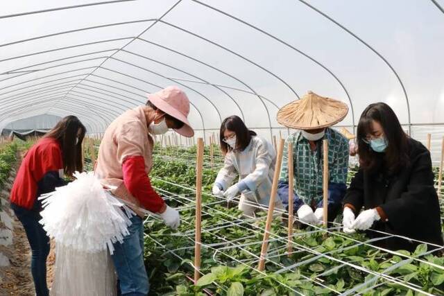 镜头丨别样“三八”节 抗“疫”巾帼暖心行