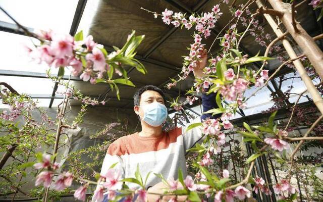 京东绿谷“硬核”防疫复工两不误