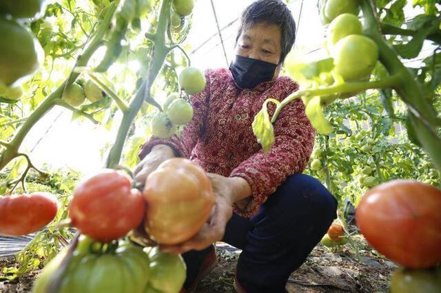 京东绿谷“硬核”防疫复工两不误