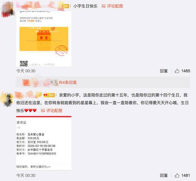 李宇春粉丝晒捐款截图