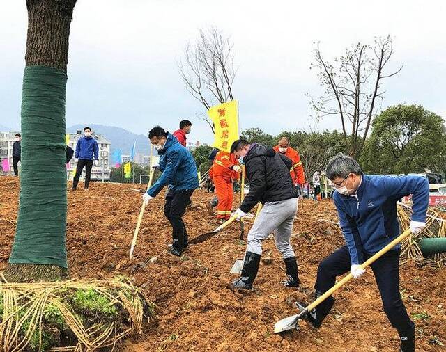 北仑区领导参加义务植树 为美丽北仑“锦上添绿”