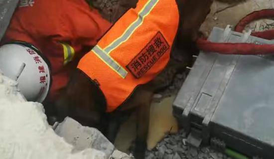 消防员携搜救犬排查被困人员情况。受访者供图