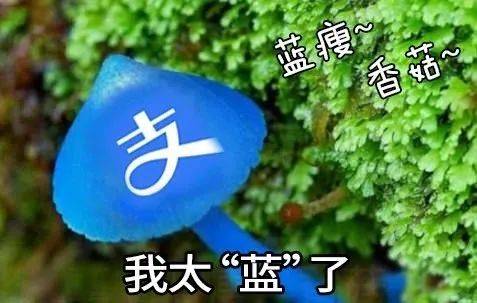 支付宝偷偷变了！网友：我更“蓝”了！