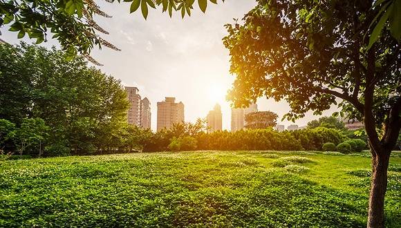 高校肺炎防控指南：分7类人群分批返校，湖北师生暂缓返校