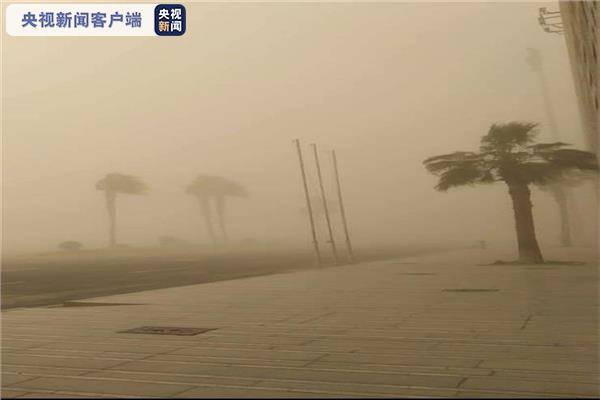 埃及遭遇26年来最极端天气(图)