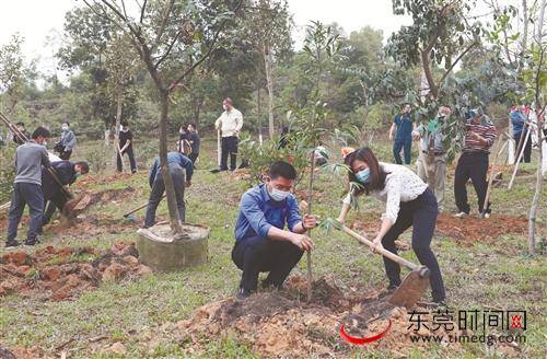 东莞市城市管理和综合执法局开展2020年春季义务植树活动