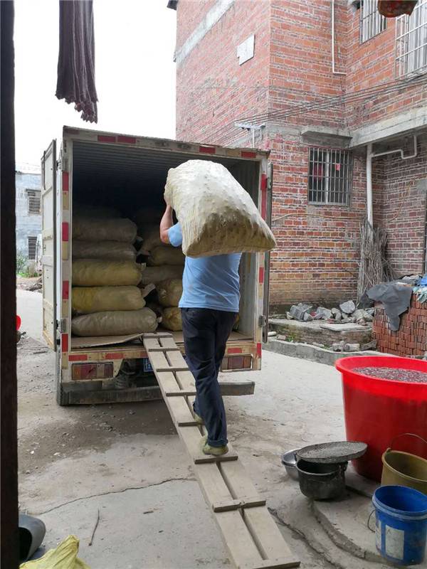 钟山法院：第一书记破解贫困户马蹄滞销难题