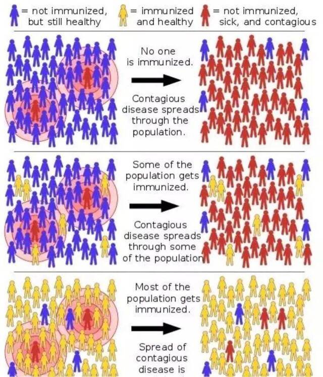 “群体免疫”之前世今生