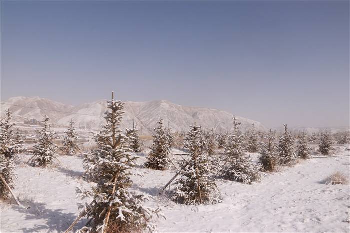 镜头  春雪润古驿