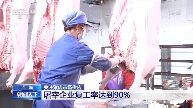 商务部投放1.7万吨中央储备猪肉 各地保障生猪产能