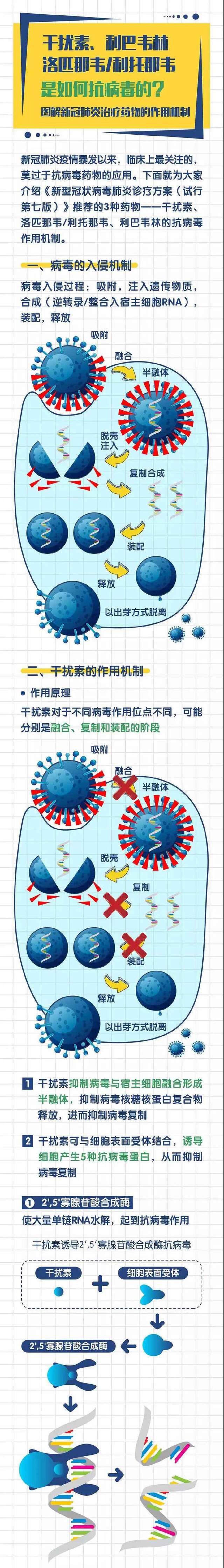 新版诊疗方案推荐药物干扰素、利巴韦林、洛匹那韦/利托那韦如何抗病毒？