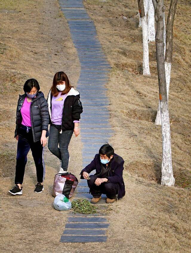 早春三月春暖花开时 引市民垂钓踏青