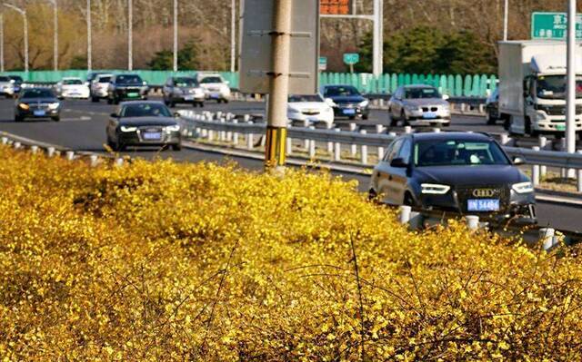 早春三月春暖花开时 引市民垂钓踏青