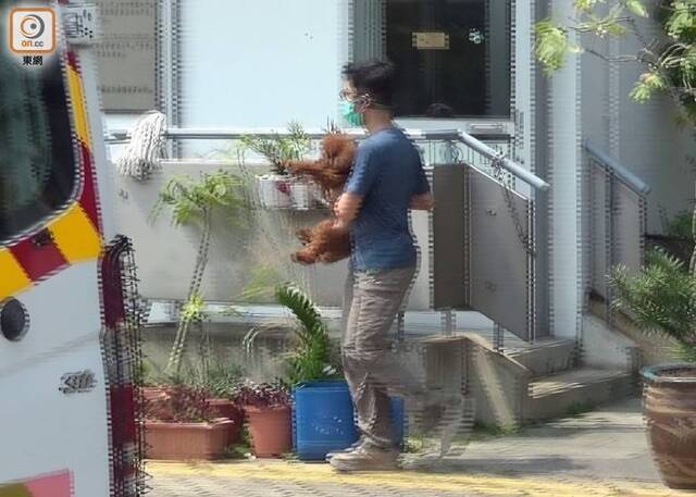 香港一夫妻疑弃养宠物又后悔，擅闯动物管理中心偷狗被捕