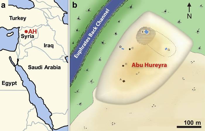 敍利亚北部的阿布胡赖拉考古新证据彗星撞毁人类最早定居地