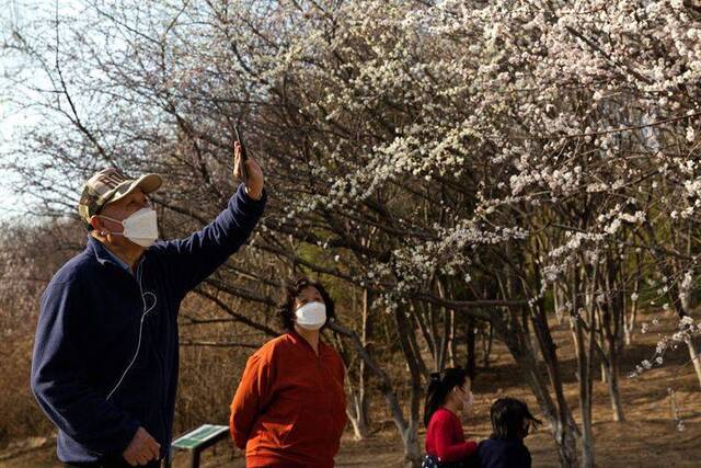 赏春 奥森公园健身赏景两不误