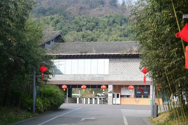 △中国大熊猫保护研究中心各基地自1月25日起实行闭园
