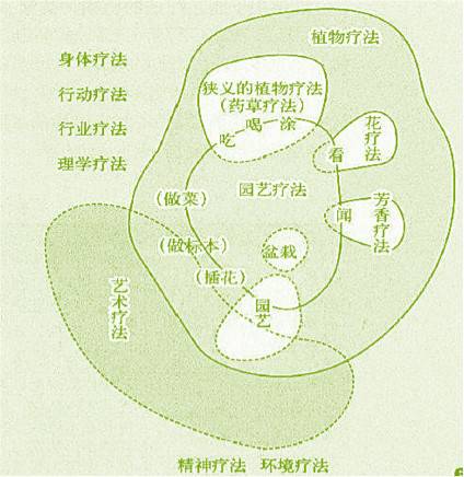 园艺疗法图示