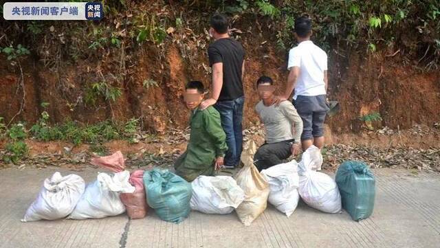 云南勐腊警方破获特大贩卖毒品案 缴毒176.6公斤