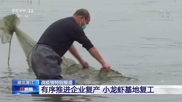 湖北潜江小龙虾基地复工 每日可卖出40万斤