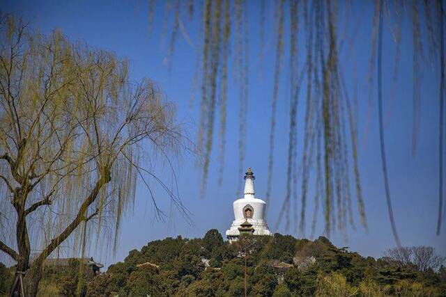 赏春 北海公园春意浓