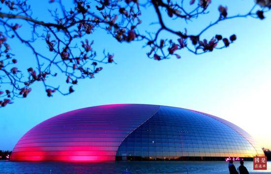  3月14日，北京国家大剧院夜色阑珊，与紫玉兰相映成趣。中新社发郭俊锋摄