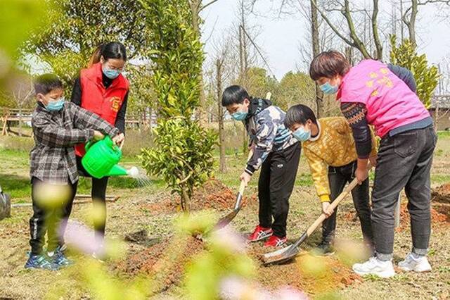 湖州：太湖植绿，涵养水源