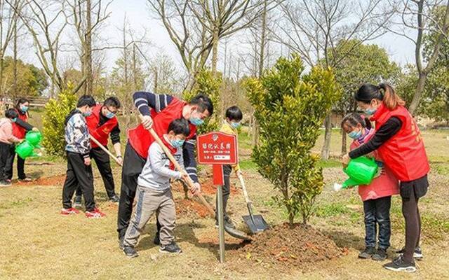 湖州：太湖植绿，涵养水源