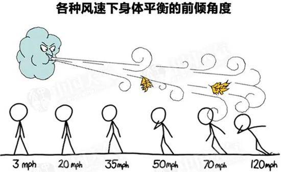 大风来袭 揭秘我国沙尘天气越来越少的真相