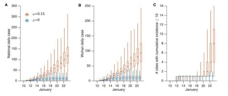 无记录感染者对新冠病毒传播的影响。使用前述参数模拟每日报告病例，μ=0.55（红色）、μ=0（蓝色）。所有城市（A）、武汉市（B）、累计病例≥1的城市数量（C）。箱线图显示中值、四分位范围、95%置信区间。
