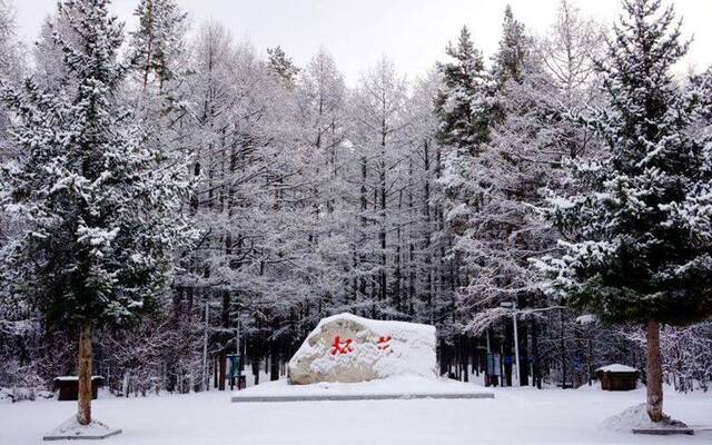 黑龙江漠河：迎来入春最大降雪 雪深10厘米